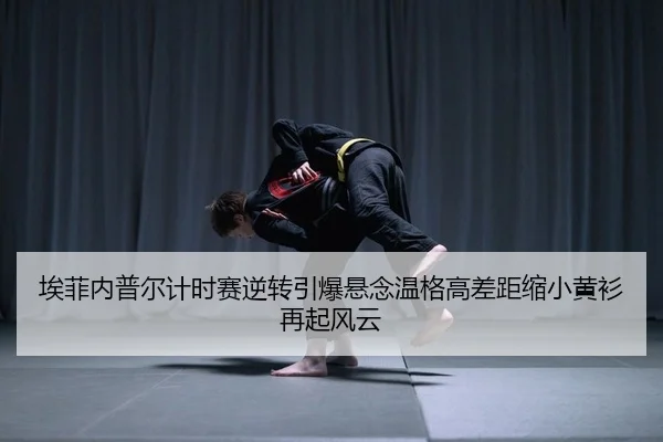 ai-fei-nei-pu-er-ji-shi-sai-ni-zhuan-yin-bao-xuan-nian-wen-ge-gao-cha-ju-suo-xiao-huang-shan-zai-qi-feng-yun-2-802.jpg